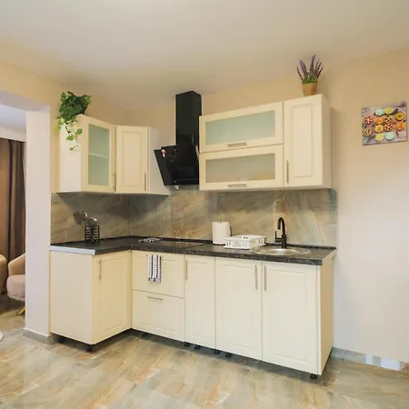 Apartment Ndl Cluj-Napoca